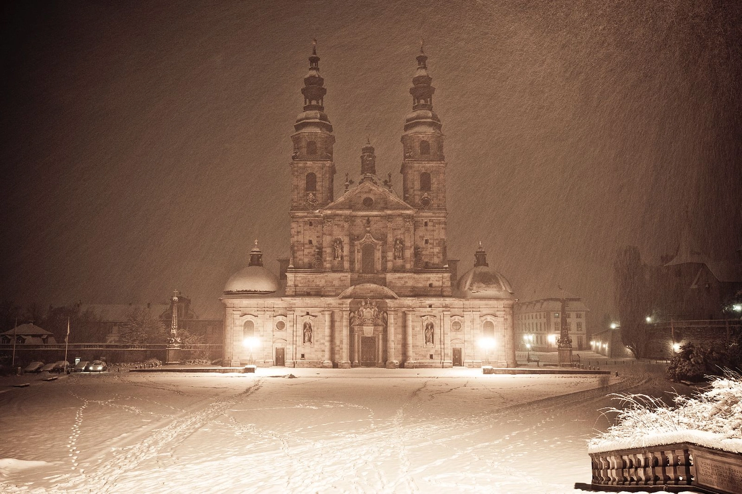 Fuldaer Residenz - Wohnung - Blätterhintergrund. Salbei, Tropische Blätter, Nahtloses Muster